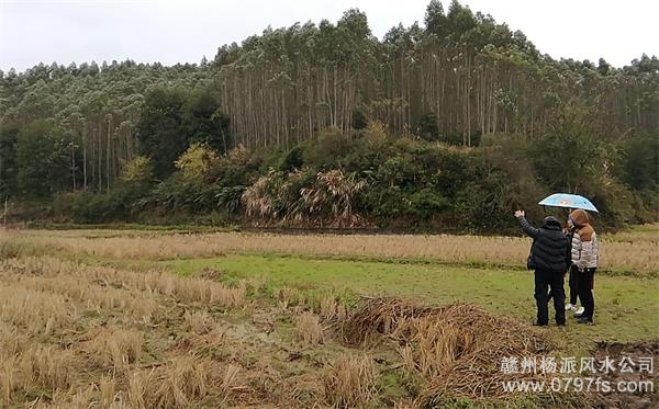 眉山市陈老师带着爱徒寻龙点穴